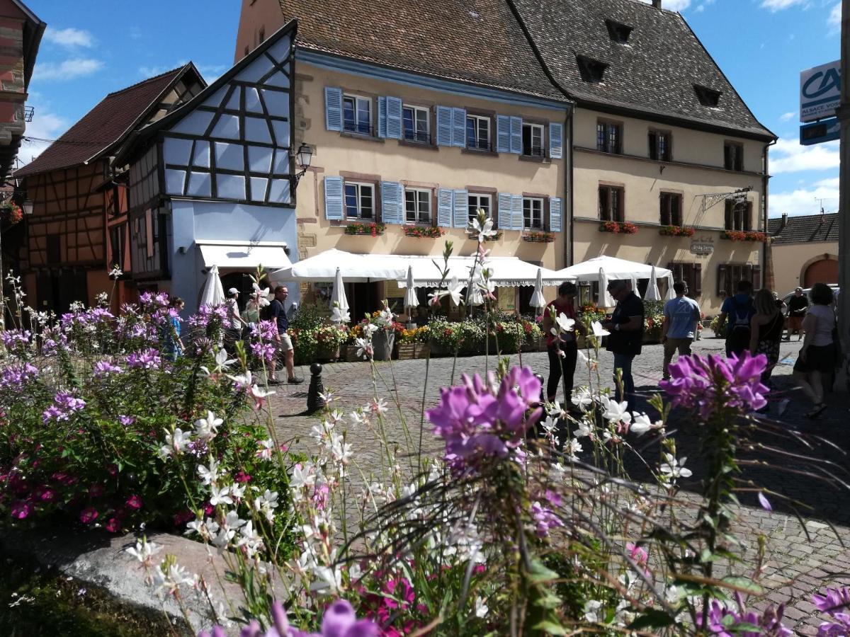 Gites Au Chateau Fleuri Eguisheim Eksteriør bilde