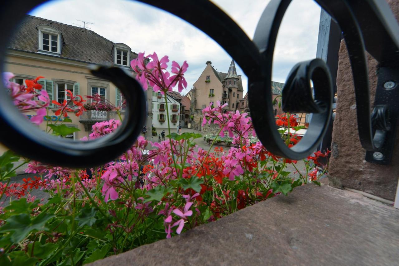 Gites Au Chateau Fleuri Eguisheim Rom bilde