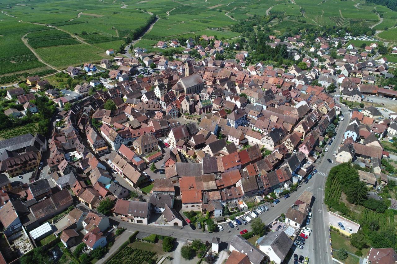 Gites Au Chateau Fleuri Eguisheim Rom bilde
