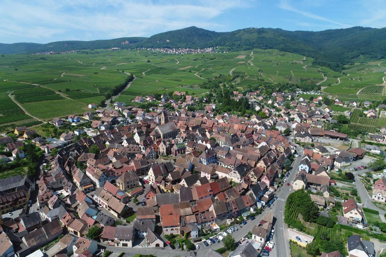 Gites Au Chateau Fleuri Eguisheim Rom bilde