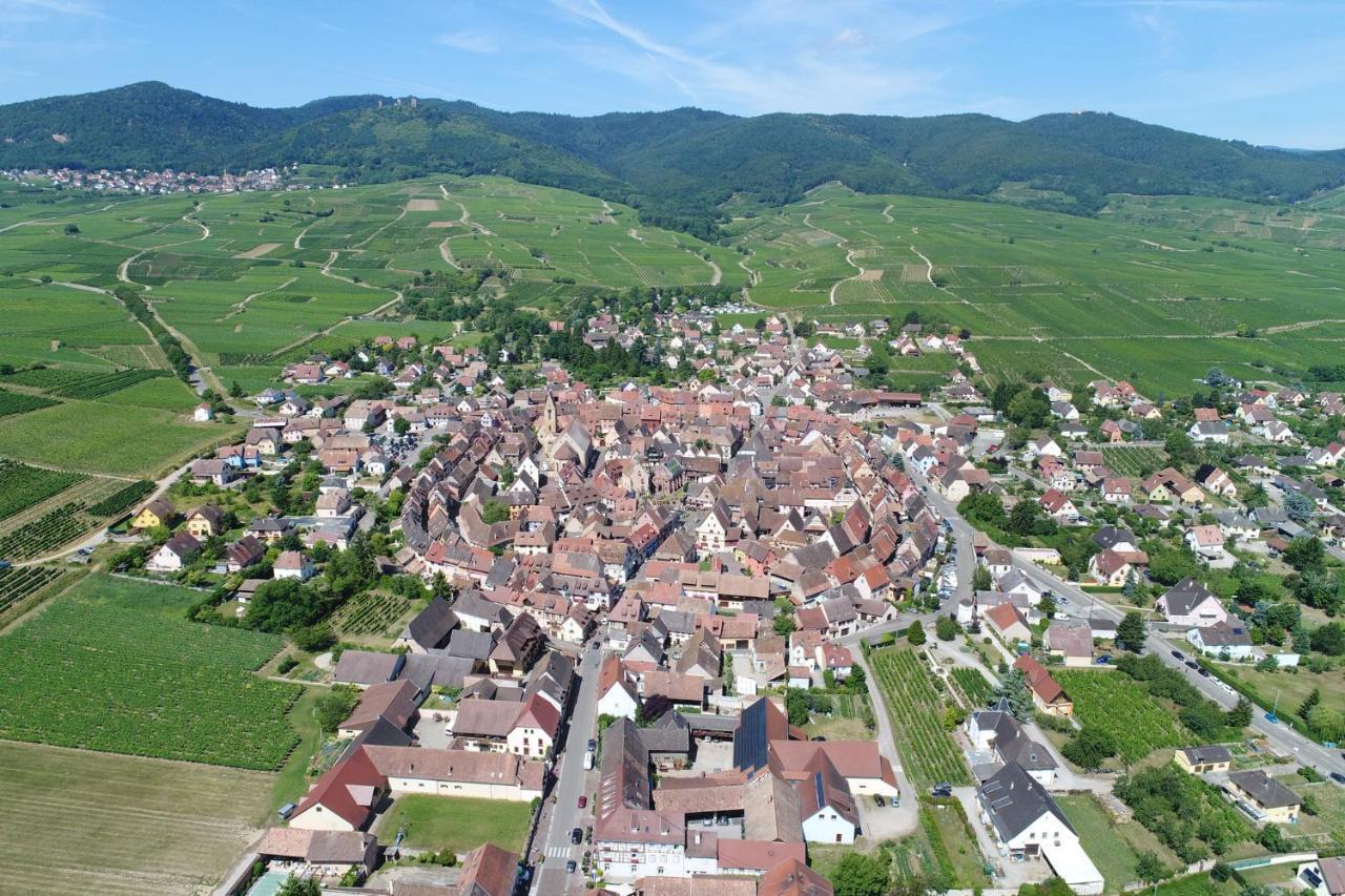 Gites Au Chateau Fleuri Eguisheim Rom bilde